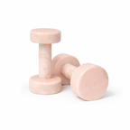 Pair of Dumbbells 2kg